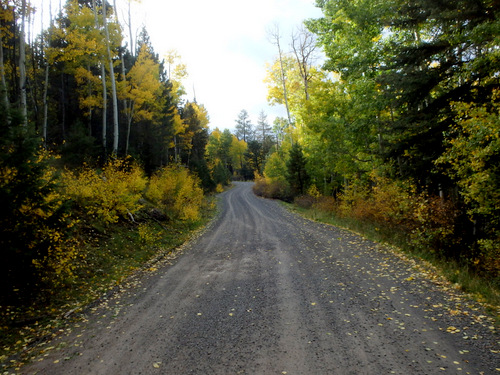 GDMBR: We decided to camp on the next off-road.